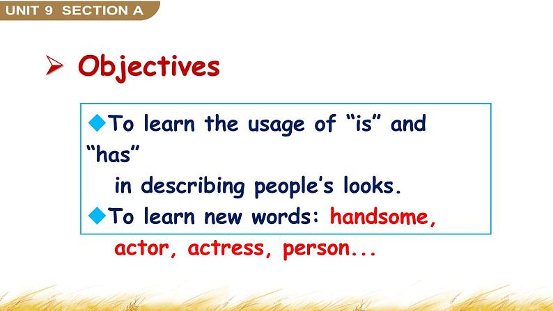 Unit 9 Section A Grammar Focus-3d 课件第2页