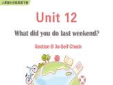 Unit 12 Section B 3a-Self Check 课件