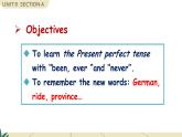 Unit 9 Section A Grammar Focus-4c 课件