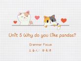人教版七年级下册 Unit 5 Grammar Focus课件