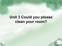 人教新目标 (Go for it) 版八年级下册Unit 3 Could you please clean your room?综合与测试复习课件ppt