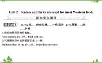 初中英语外研版 (新标准)九年级下册Module 6 Eating togetherUnit 2 Knives and forks are used for most Western food.优秀课