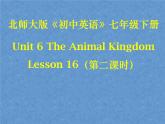 北師大版英語七下Unit 6《Lesson 16 My Favourite Animal》ppt第2課時教學課件