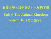 北师大版英语七下Unit 6《Lesson 16 My Favourite Animal》ppt第2课时教学课件