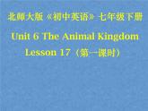 北师大版英语七下Unit 6《Lesson 17 Interesting Animals》ppt第1课时教学课件