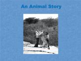 北师大版英语七下Unit 6《Lesson 18 An Animal Story》ppt第2课时教学课件