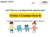人教版(Go for it) 版英语八下 Unit5第三课时（Grammar Focus-4c） 课件