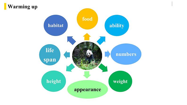人教版(Go for it) 版英语八下 Unit7第五课时（SectionB 2a-2e） 课件04