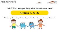 初中英语人教新目标 (Go for it) 版八年级下册Section A获奖ppt课件