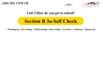 人教新目标 (Go for it) 版七年级下册Section B精品ppt课件