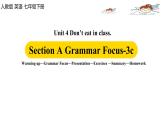 人教新目标 (Go for it) 版英语七下 Unit4第2课时（SectionA Grammar Focus-3c）ppt课件