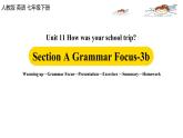 人教新目标 (Go for it) 版英语七下 Unit11第2课时（SectionA Grammar Focus-3b）（课件+音频）