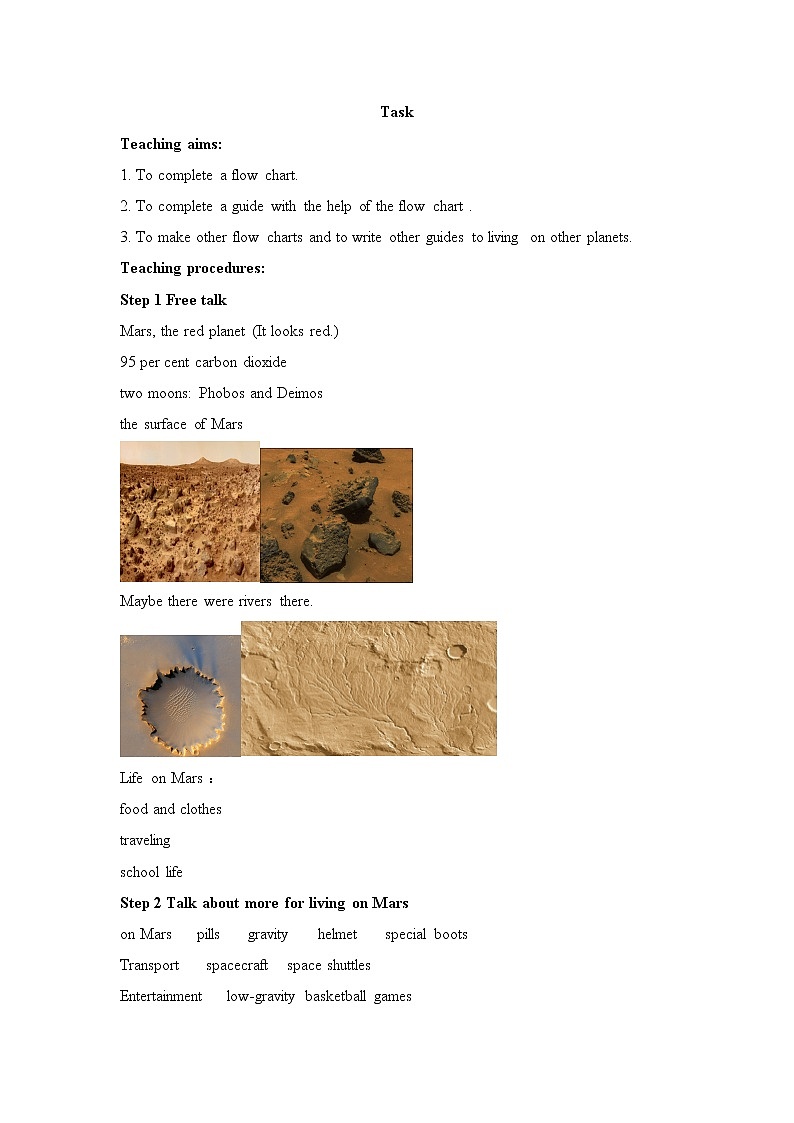 牛津译林版英语九年级下册unit4   Task教案01