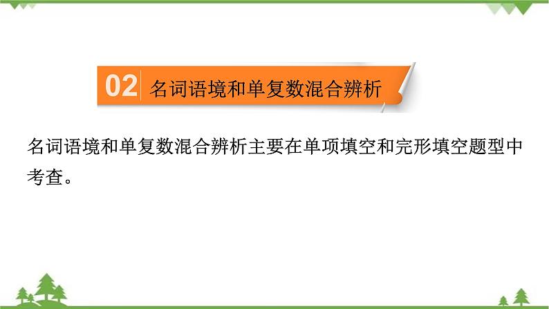 2021年人教版中考英语总复习语法---名词 课件04