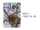 冀教版七年级下册 Unit 1 A  Lesson 6 Jenny's Diary.ppt