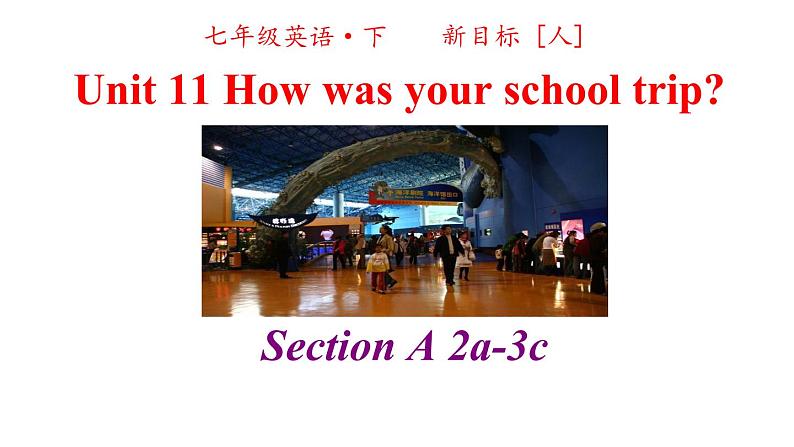 人教英语七年级下册 Unit 11 第二课时Section A 2a-3c 课件02