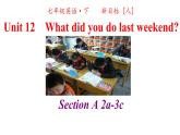 人教英语七年级下册Unit 12 第二课时Section A 2a-3c 课件
