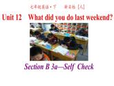 人教英语七年级下册 Unit 12 第四课时Section B 3a-selfcheck 课件