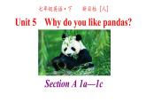 人教英语七年级下册Unit 5 第一课时Section A 1a-1c 课件