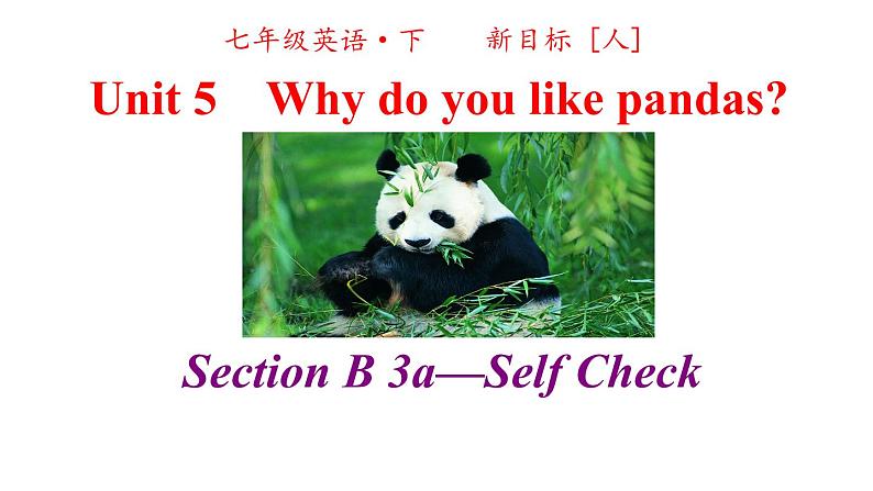 人教英语七年级下册Unit 5 第四课时section B 3a-selfcheck第2页