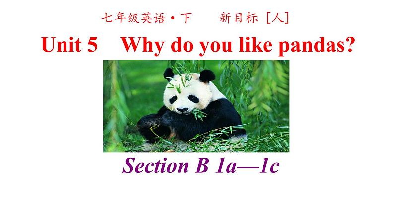 人教英语七年级下册Unit 5 第三课时Section B 1a-2c 课件02