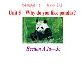 人教英语七年级下册Unit 5 第二课时Section A 2a-3c 课件