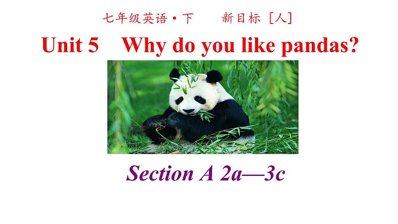 人教英语七年级下册Unit 5 第二课时Section A 2a-3c 课件02