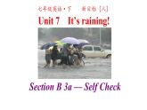 人教英语七年级下册 Unit 7 第四课时Section B 3a-selfcheck 课件