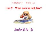 人教英语七年级下册Unit 9 第三课时Section B 1a-2c 课件