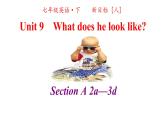 人教英语七年级下册Unit 9 第二课时Section A 2a-3c 课件