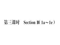 初中英语人教新目标 (Go for it) 版七年级下册Section B习题课件ppt