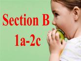 人教新目标英语七年级下册Unit10 Section A（ 1a-2c）(共27张PPT)