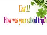 人教新目标英语七年级下册Unit 11 Section A （Grammar focus - 3b）(共22张PPT)