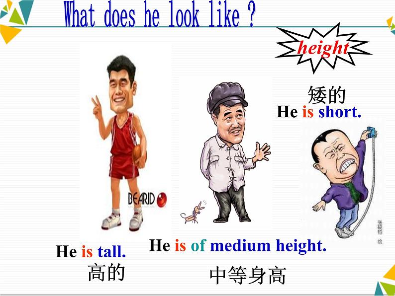 人教新目标英语七下Unit 9  What does he look like Section A (1a-1c)(共17张PPT)第3页