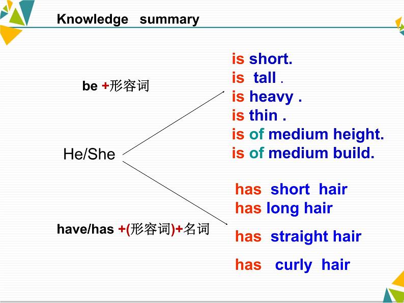 人教新目标英语七下Unit 9  What does he look like Section A (1a-1c)(共17张PPT)第7页