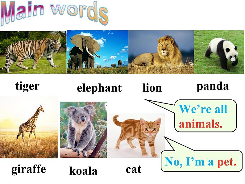 人教版英语七年级下册Unit 5 Section A（1a-2d） 课件03