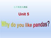 人教版英语七年级下册 Unit 5 Section A（Grammar Focus-3c） 课件