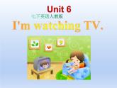 人教版英语七年级下册Unit 6 Section B （3a-self check） 课件