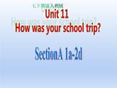 人教版英语七年级下册 Unit 11 Section A 1a-2d 课件