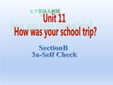 人教版英语七年级下册 Unit 11 Section B 3a-Self Check 课件