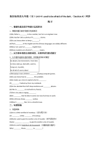 英语九年级全册Section A精品同步训练题