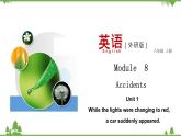 （外研版）2021学年八年级英语上册 Module 8 Unit 1 同步课件
