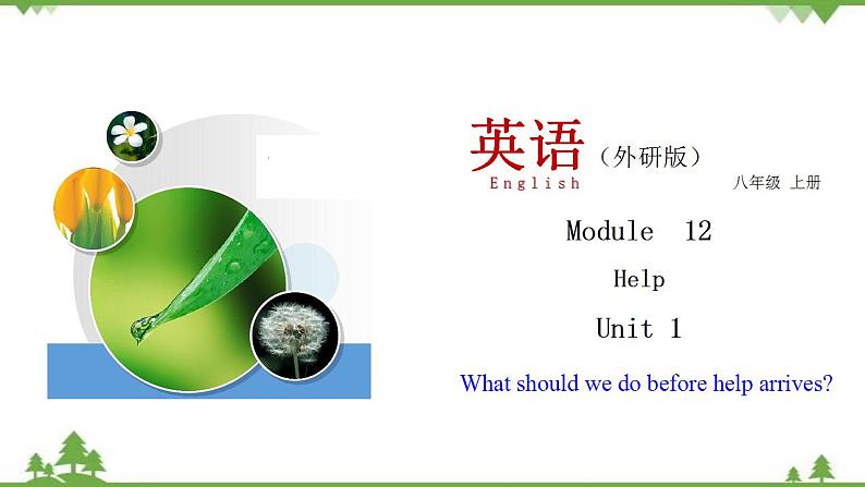 （外研版）2021学年八年级英语上册Module 12 Unit 1  同步课件01