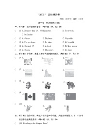 初中英语人教新目标 (Go for it) 版八年级下册Unit 7 What’s the highest mountain in the world?综合与测试单元测试复习练习题