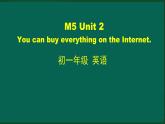 外研版七年级英语下册 Module5 Unit 2 You can buy everything on the Internet（PPT课件）