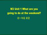 外研版七年级英语下册 Module3 Unit 1 What are you going to do at the weekend（PPT课件）