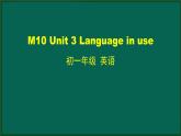外研版七年级英语下册 Module10 Unit 3 Language in use(PPT课件）