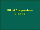 外研版七年级英语下册 Module12 Unit 3 Language in use(PPT课件）