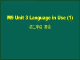 外研版八年级英语下册 Module9 Unit 3 Language in use(1)（PPT课件）