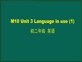外研版八年级英语下册 Module10 Unit3 Language in use (1)（PPT课件）